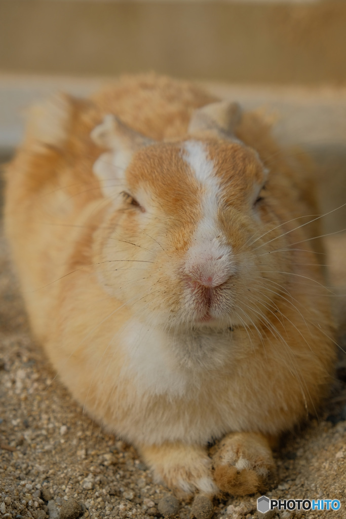 くつろぎ