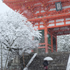 雪の京都