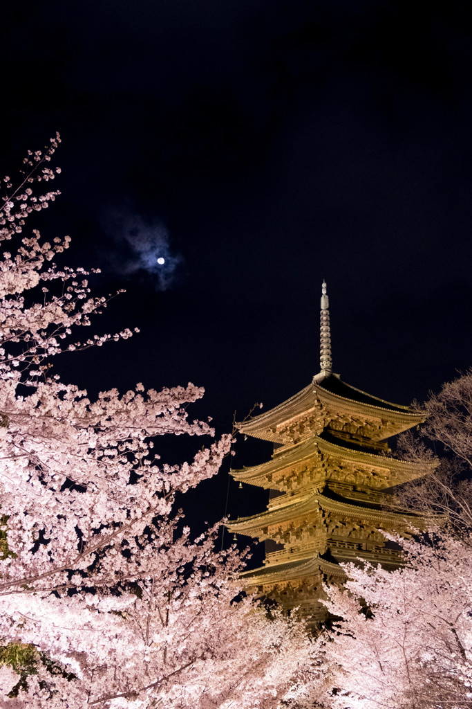 月と五重塔