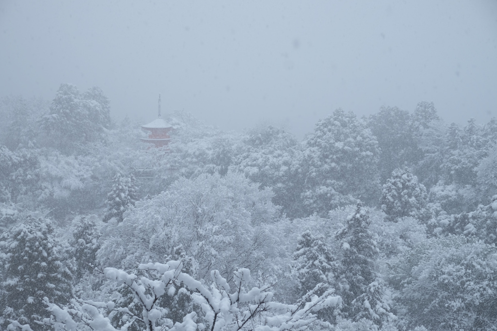 清水寺から