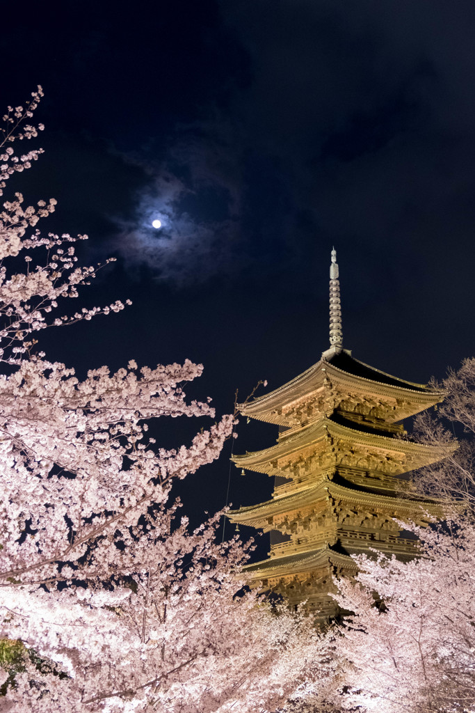 月と五重塔