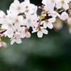 こっちを向いて。。。