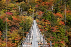 紅葉と吊橋