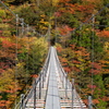 紅葉と吊橋