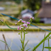 何やったっけ。。