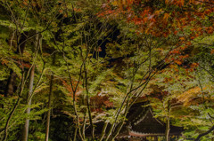 永観堂③