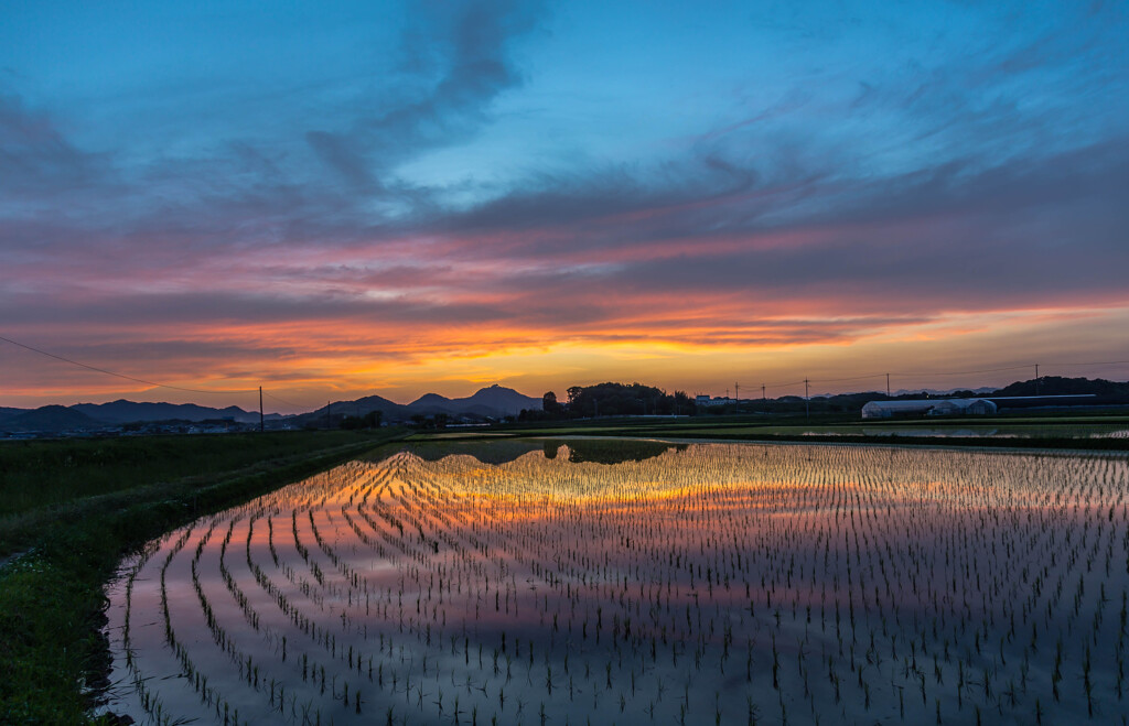 播州夕景