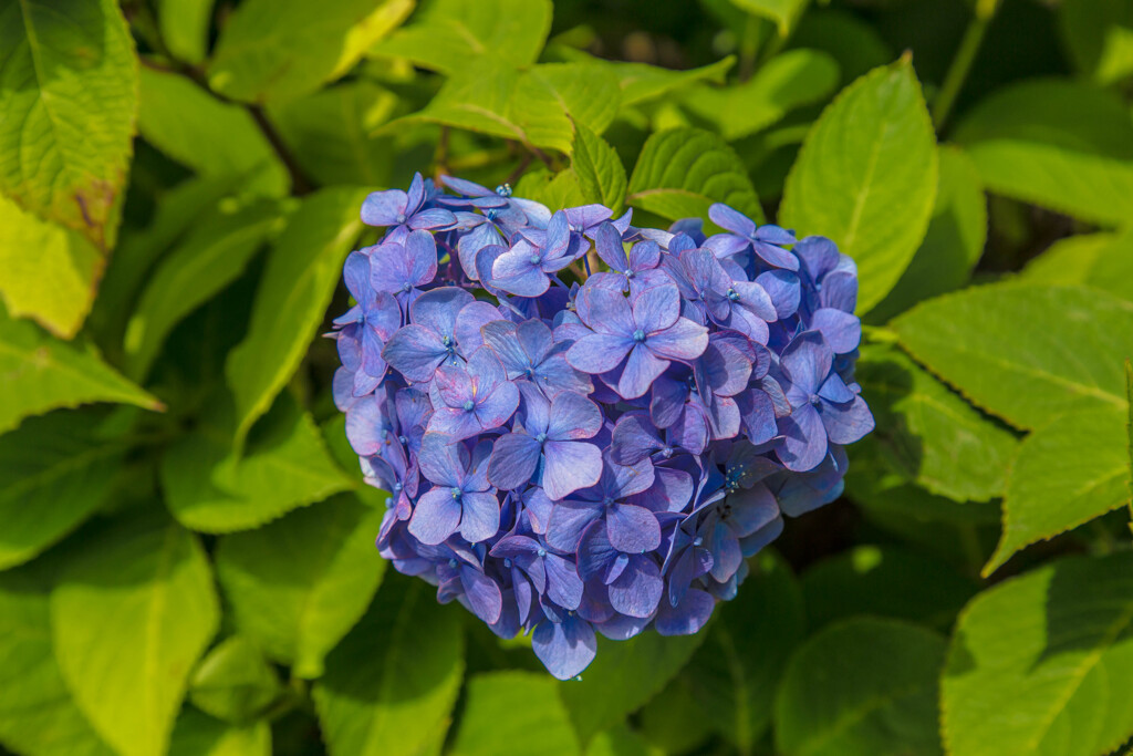 長弓寺にて。②