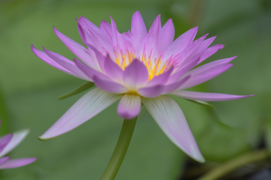 (旧)神戸花鳥園にて。。①