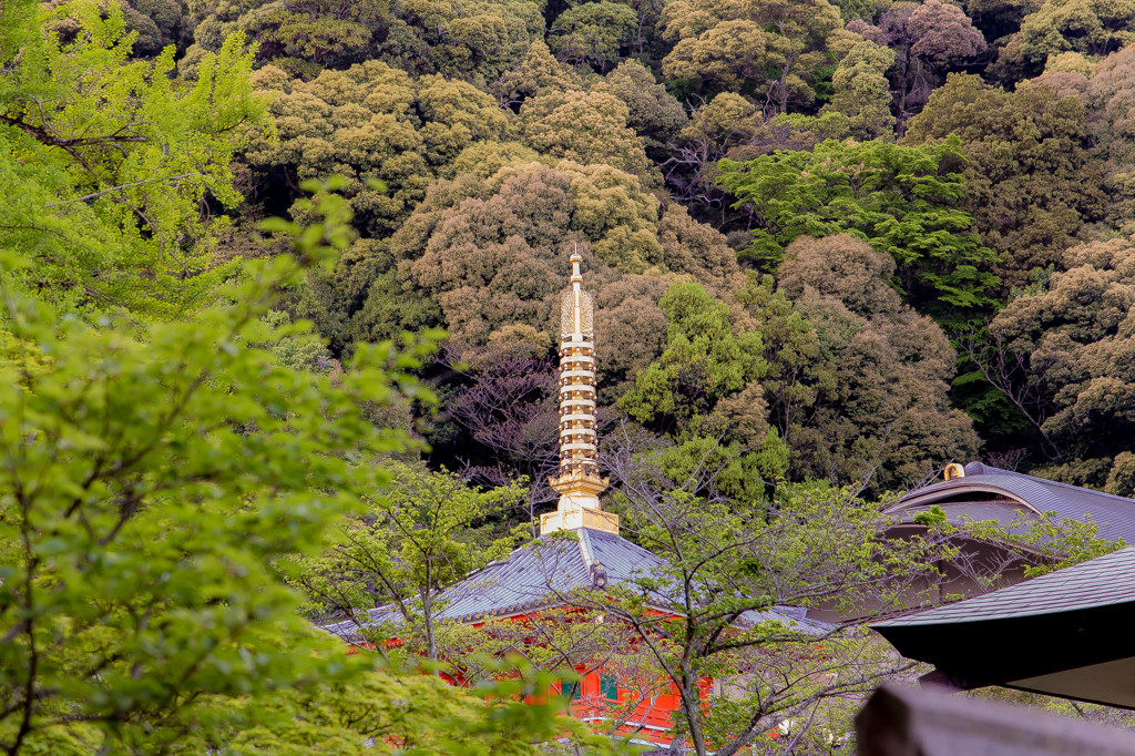 朝護孫子寺②
