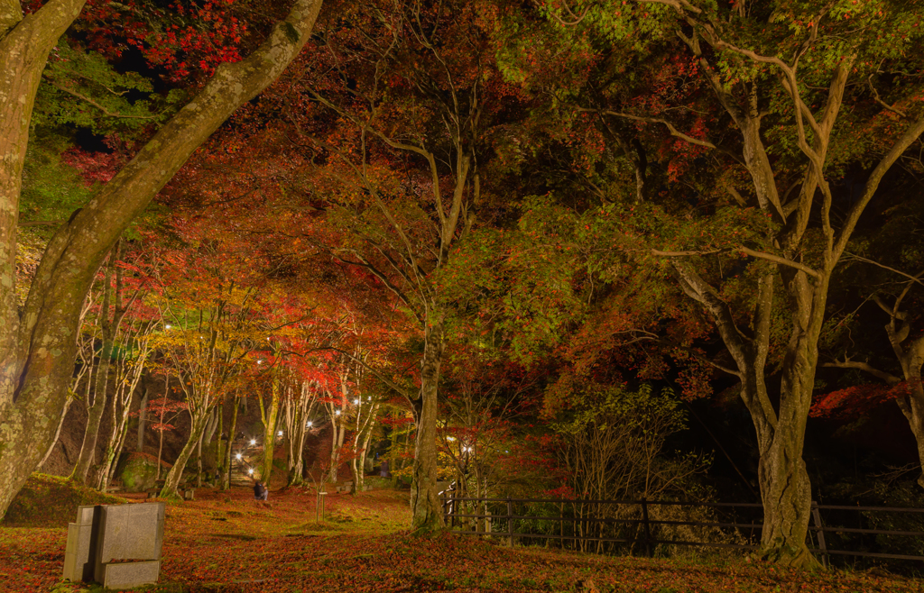 笠置寺（奥に誰かがががが。