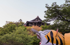 朝護孫子寺①