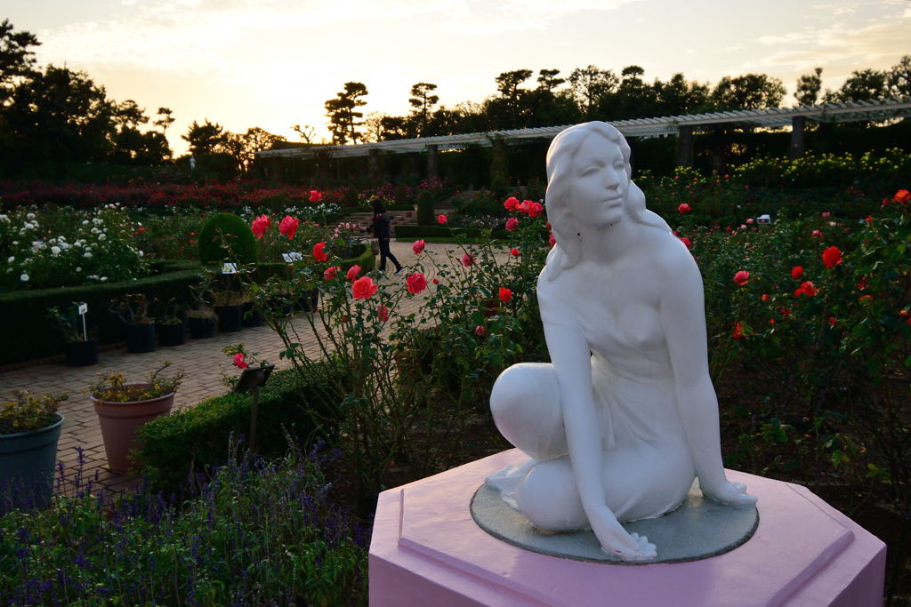 花の姉妹