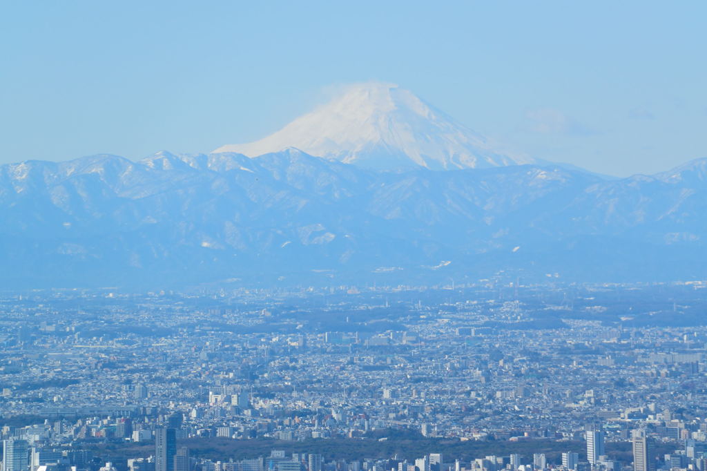 スカイツリーからの富士山