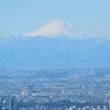 スカイツリーからの富士山