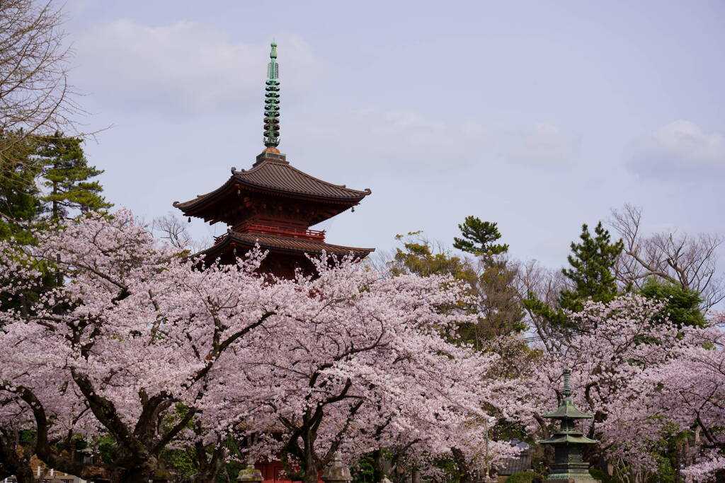 中山法華経寺　五重塔