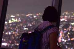 星の海を眺める織姫 星の海を眺める織姫