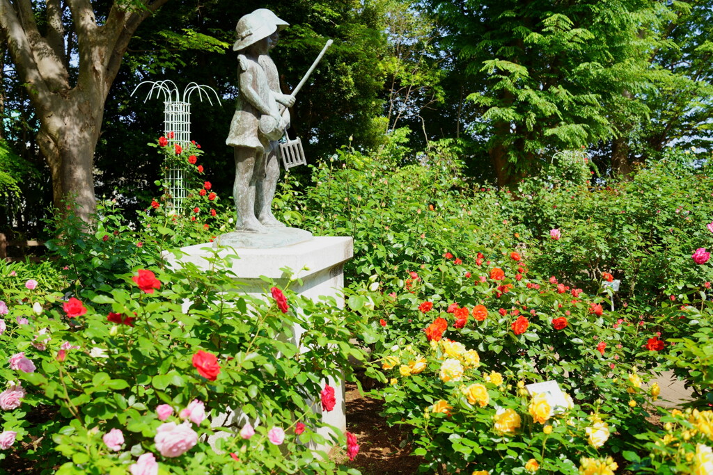 須和田公園