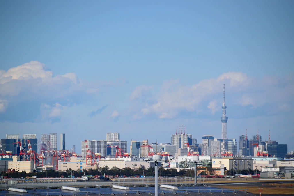 キリンさん(^o^)