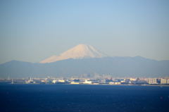 今朝の富士山