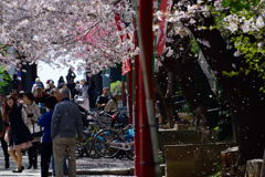 中山法華経寺参道　２