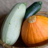 コリンキーとズッキーニ