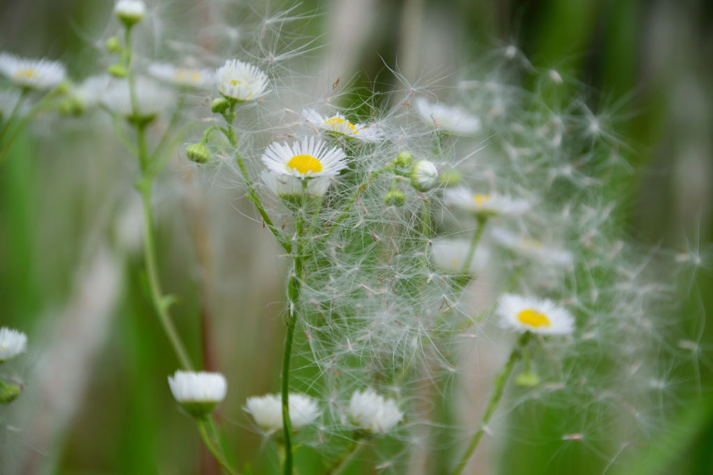 囚われの姫　再び