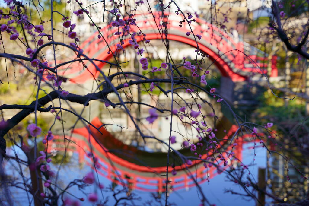 太鼓橋　過去