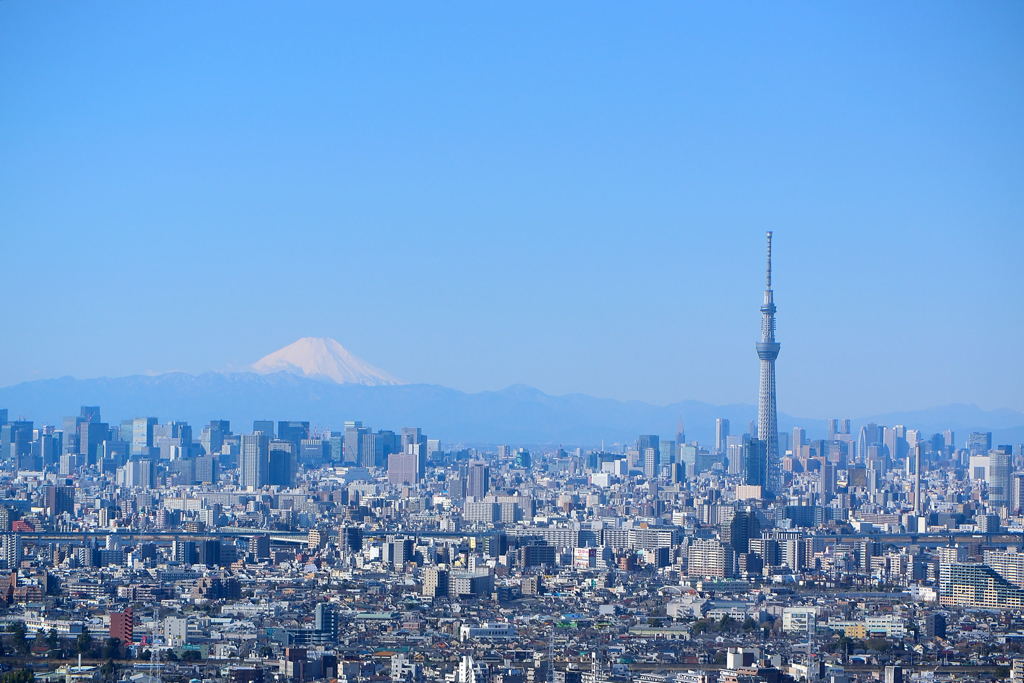 今朝....富士山とスカイツリー