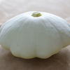 ズッキーニ　白色ＵＦＯ