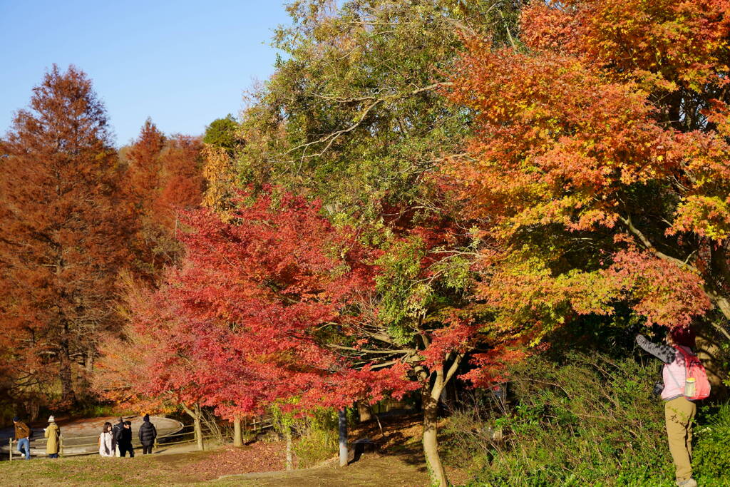 アンデルセン公園