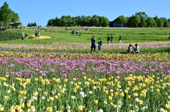 滝野すずらん丘陵公園
