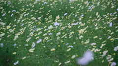 イエローキャンバス　群