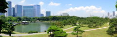 浜離宮恩賜庭園