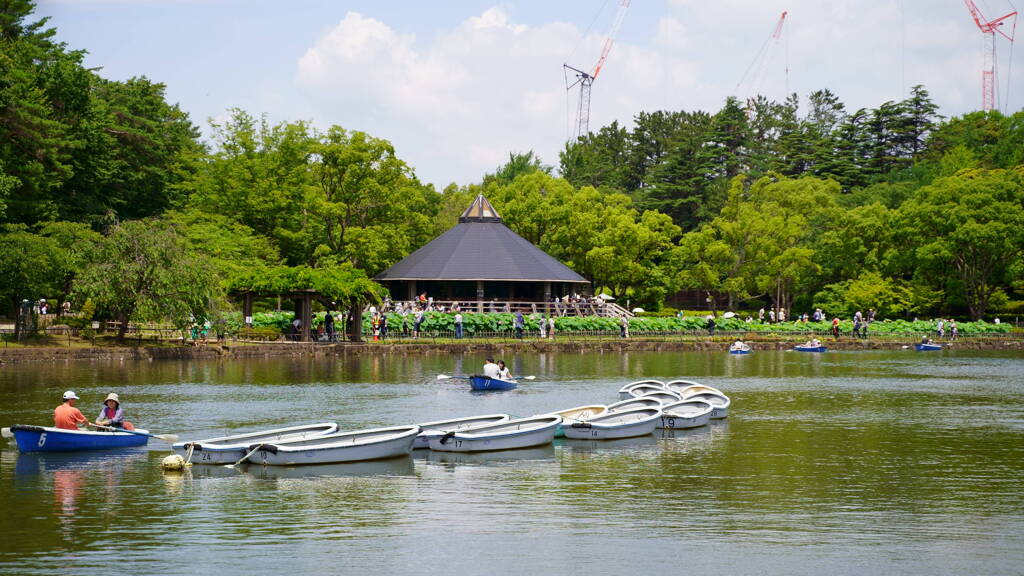 千葉公園　蓮華亭