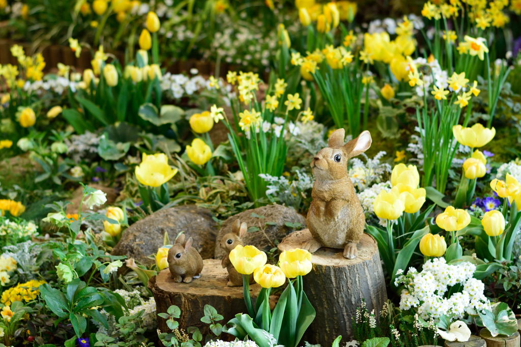 黄色に囲まれて