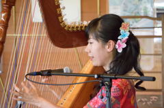大賀ハスまつり　アルパ