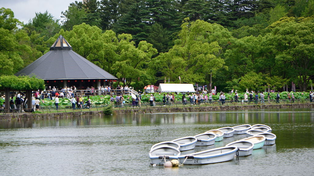 千葉公園　蓮華亭