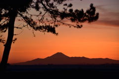 富士山　松