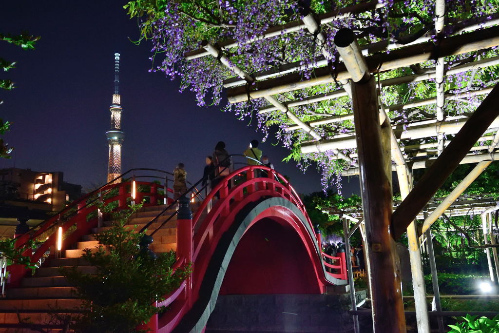 亀戸天神社　男橋