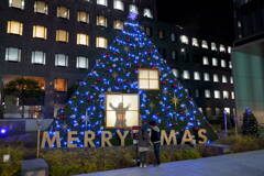 AVEX
