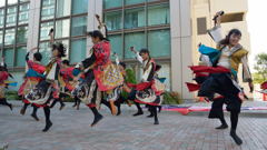 千葉工業大学　津田沼祭　風神