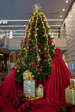 クリスマスツリー　インターシティ