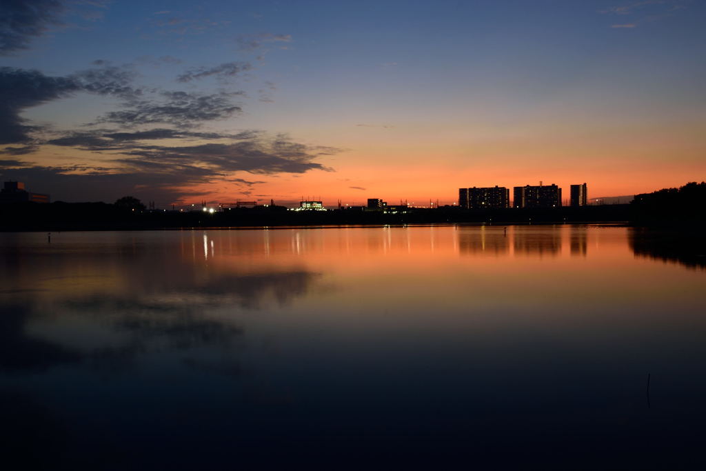 谷津干潟の夕暮れ　１