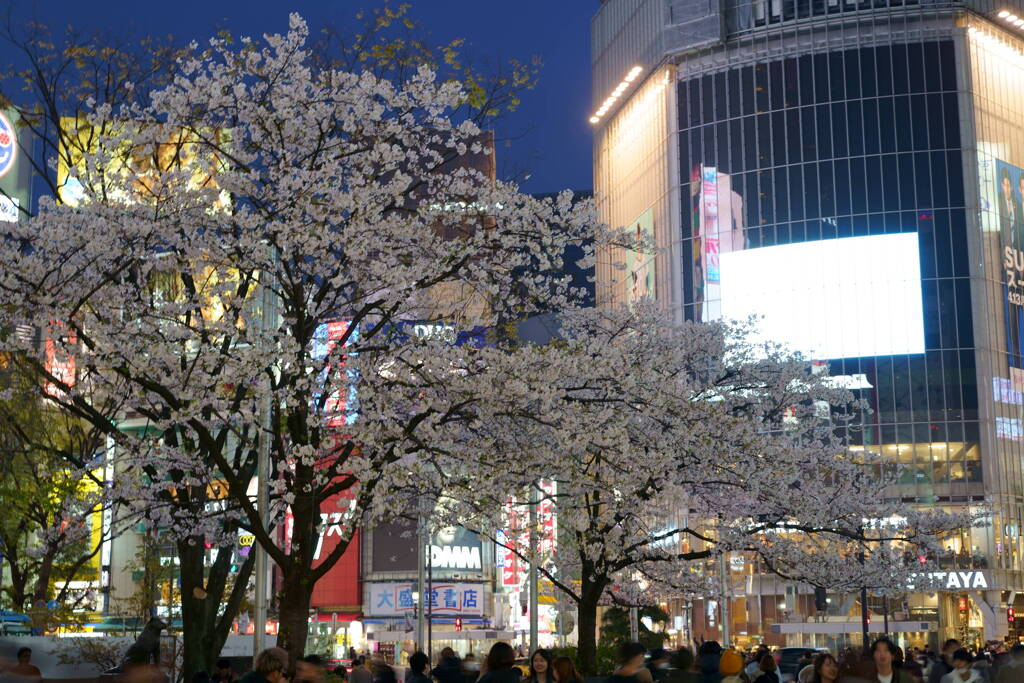 ハチ公前広場