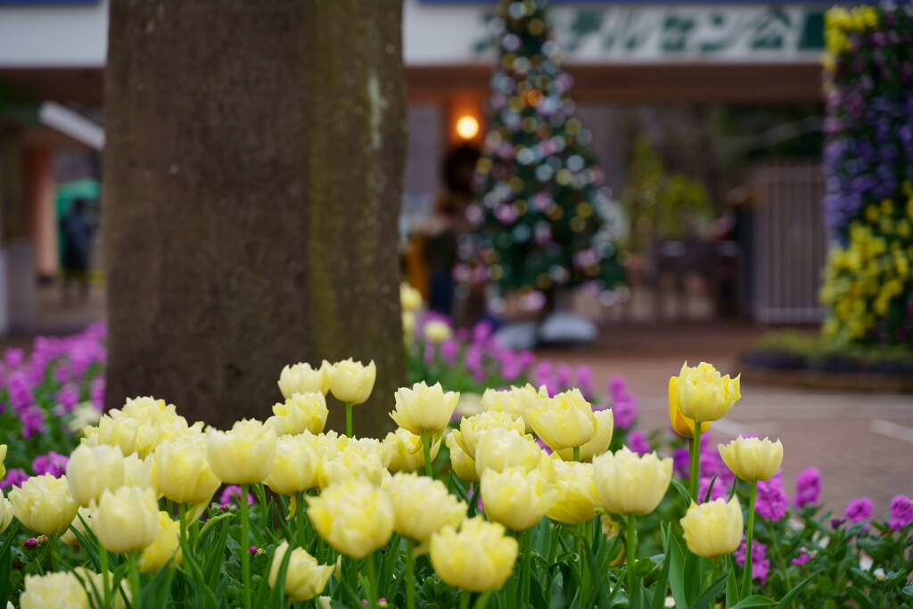 アンデルセン公園