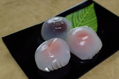 春わらび