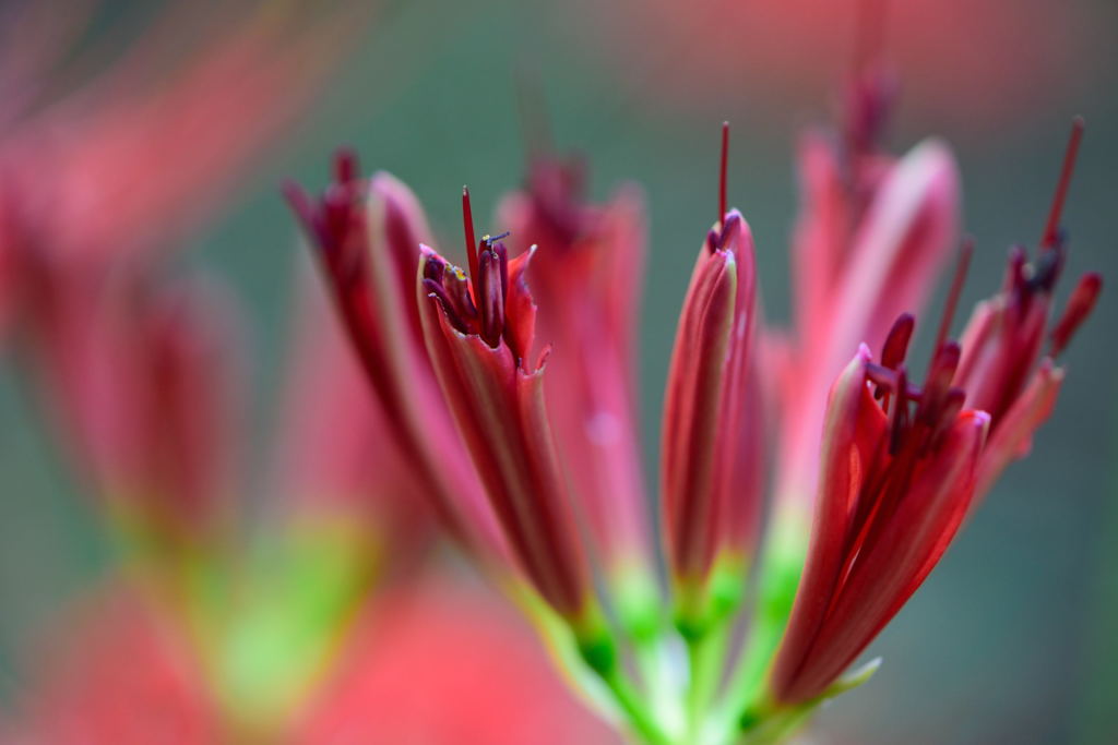 もうすぐ出るぞ～