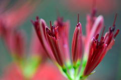 もうすぐ出るぞ～