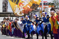 ふなばし市民まつりのよさこい　乱舞
